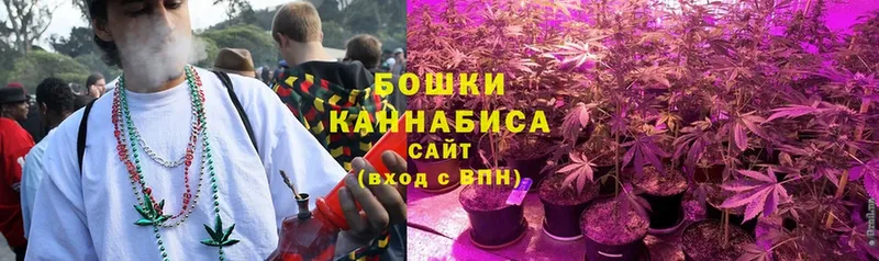 Канабис план  купить наркотики сайты  Белинский 